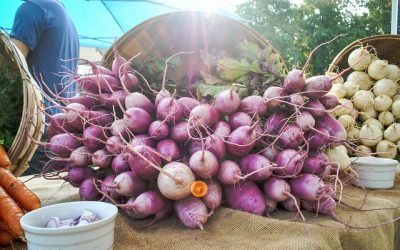 5 Things to look forward to at Withrow Market